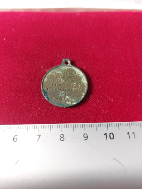 Médaillon Napoléon III Empereur En Bronze - XIXe Siècle - Pièce Historique Française - Collection