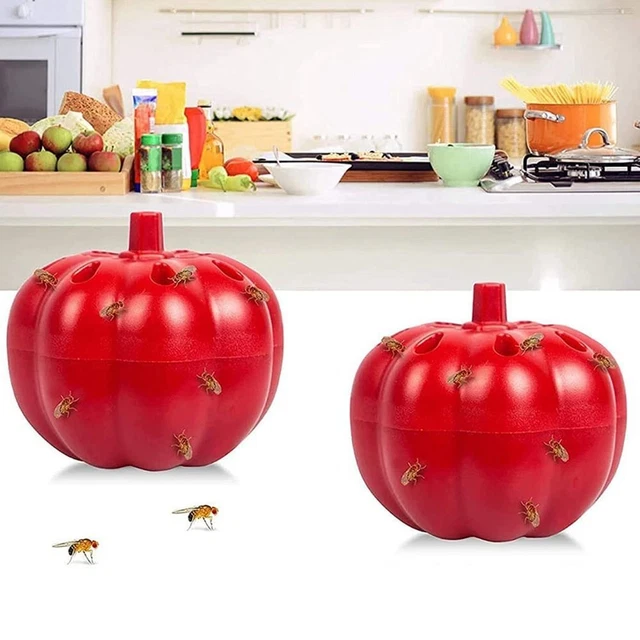 Trampa de la mosca de la fruta Atrapasueños Asesino de Gnat Asesino con mosca