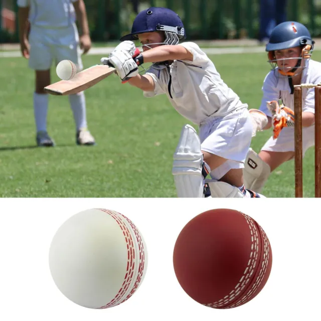 3PCS Cricket Ball Sports Wind Cricket Balls Sports Wind Indoor Outdoor Soft
