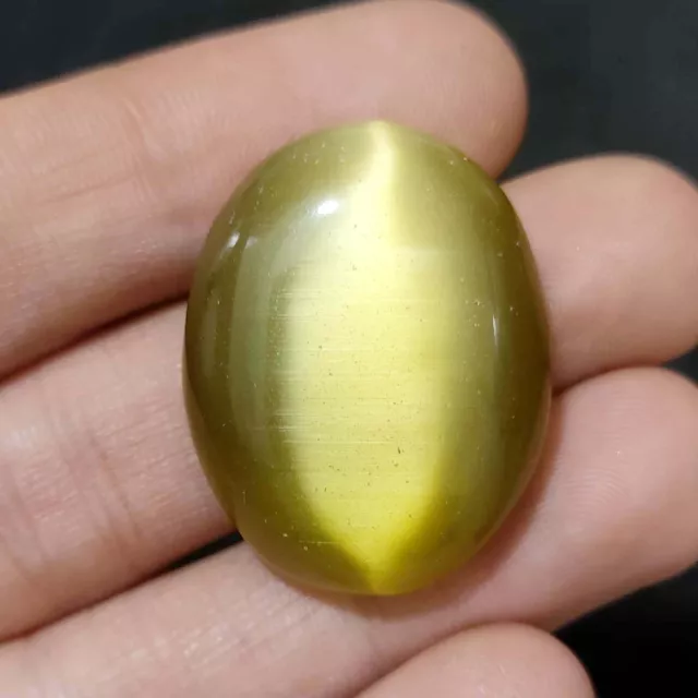 68.65 Cts Natural BI Color Cat's Eye  Cab Shape  Excellent  Gemstone