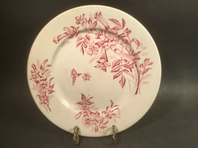 Very Old French Faience Flowers and Butterflies Plate c.1800's
