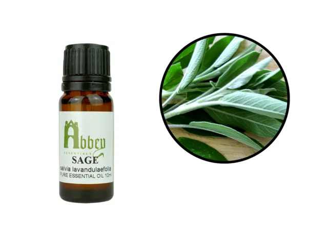 Essential Oil Sage 100% Pure Natural Aromatherapy 10ml - 1 Litre UK