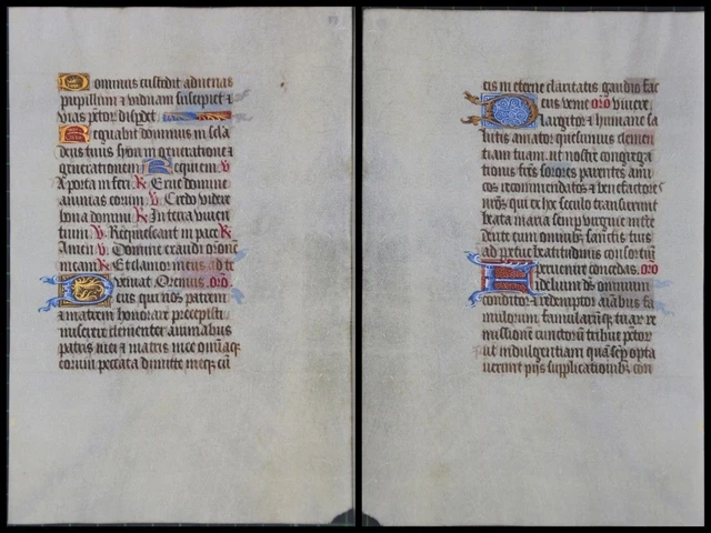 Illuminierte Grafia Su Pergamena Foglia Di Uno Miniatura Um 1500 (059)