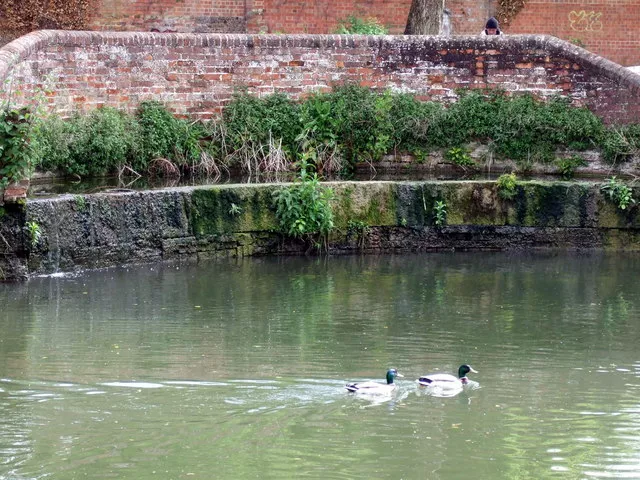 Photo 6x4 Horseshoe weir at Hythe Bridge Oxford/SP5106 This is an overfl c2009