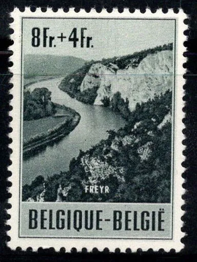 Belgique 1953 Mi. 972 Neuf ** 100% 8 fr, paysage