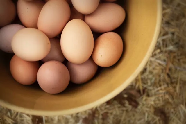 12 huevos de pollo reales soplados vacíos, para decoración artesanal de Pascua