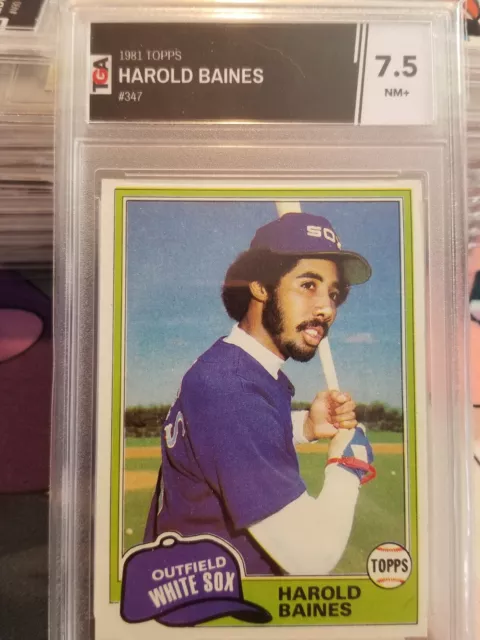 1981 Topps, Graded 10 Card Lot - CRAZY DEAL - LOOK!!!!   (LOT PTC, A3)