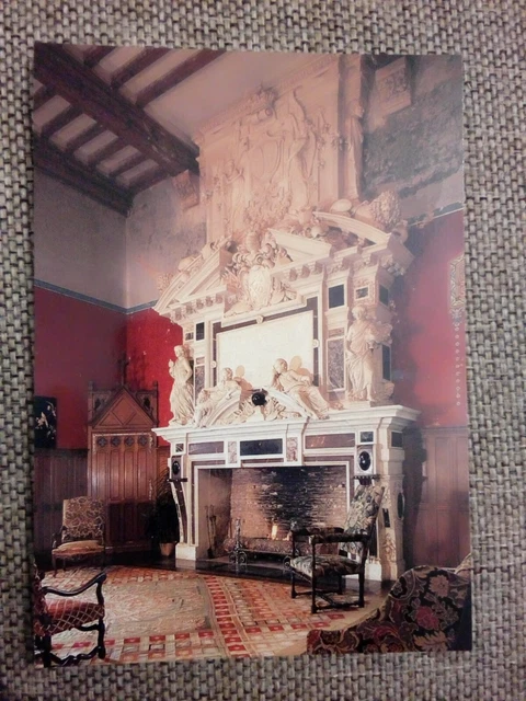 Cpsm Cpm 33 Gironde Château De Roquetaillade Cheminée Renaissance