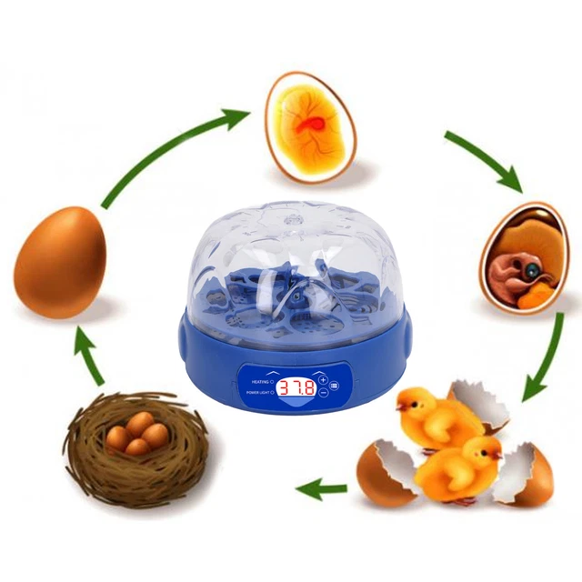 Egg Incubator 15W With Automatic Turner Poultry Hatching Machine UK Plug