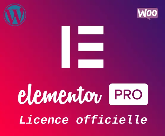 Elementor Pro 3.20 - Installation & Activation Licence officielle 1 site 1 an