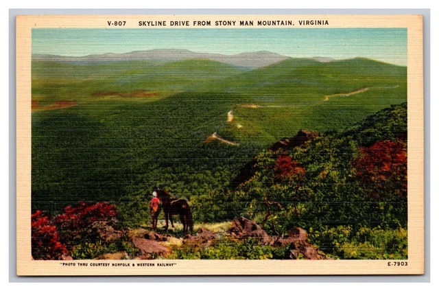 Luray VA Skyline Drive from Stony Man Mountain Aerial View Linen Postcard
