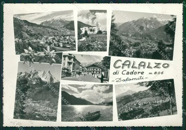 Belluno Calalzo di Cadore Foto FG cartolina ZKM7132