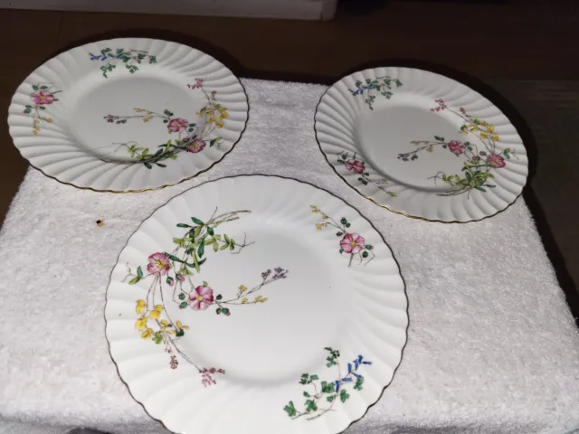 Minton China - Dainty Sprays - Set of Three 9" Luncheon Plates S.511 GUC SEE PIC
