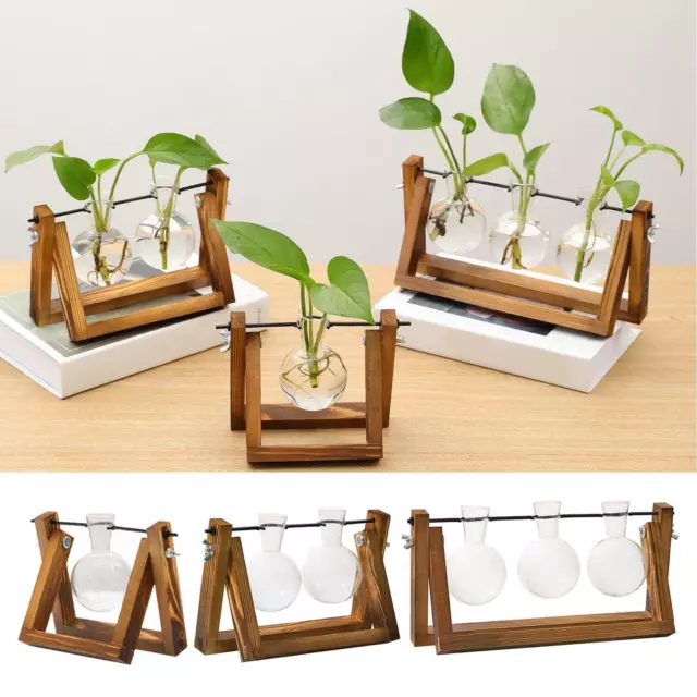 Plant Terrarium Wooden Stand Air Planter Bulb Glass Vase, Metal Swivel Holder