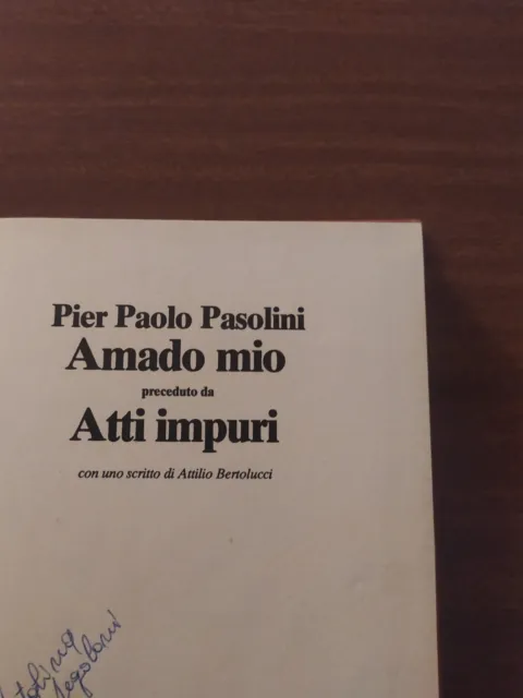 Pier Paolo Pasolini, Amado mio (preceduto da Atti impuri), Garzanti 1993