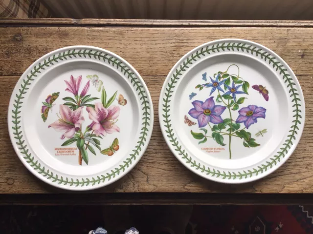 Portmeirion Botanic Garden 2 Dinner Plates NEW