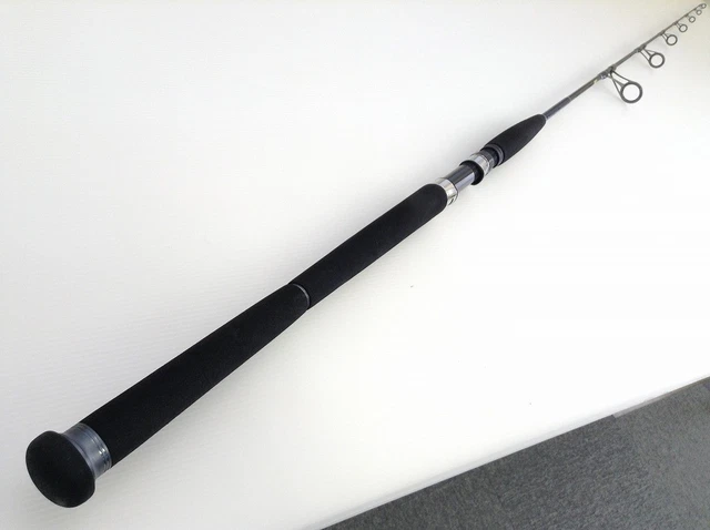DAIWA SALTIGA COASTAL HIRAMASA 60S Spinning Rod for Jigging