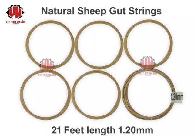6 piezas de cuerdas intestinales naturales para ovejas doble bajo de 21 pies de largo cada cuerda 1,20 mm