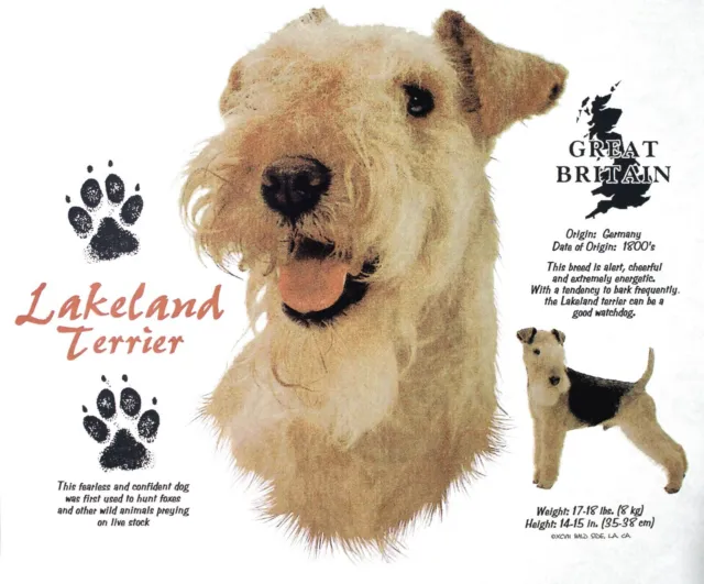 Lakeland Terrier New T-Shirt History of the Lakeland Terrier