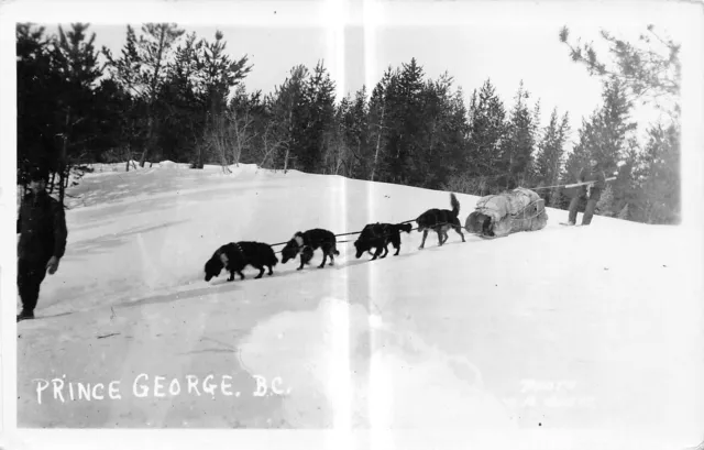 PRINCE GEORGE British Columbia Canada postcard RPPC dog sled team