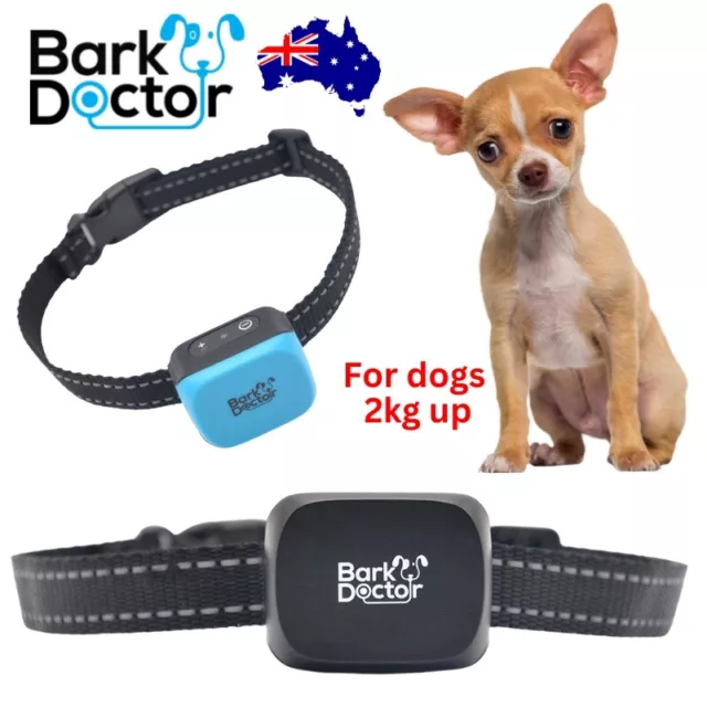 Anti bark collar for chihuahua sale