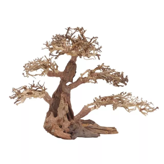 XL Bonsaï Arbre Nr.12054 Racine Bois Aquarium Déco Aquascaping Nature Oriental