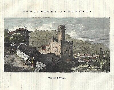 Stampa antica originale Roveredo Rovereto Trento Trentino Alto Adige Italy 