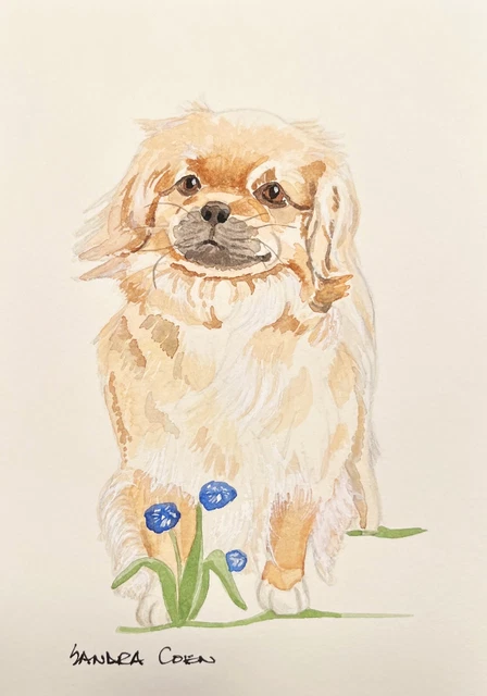 Tibetan Spaniel Original Watercolor by Sandra Coen Standing in Flowers