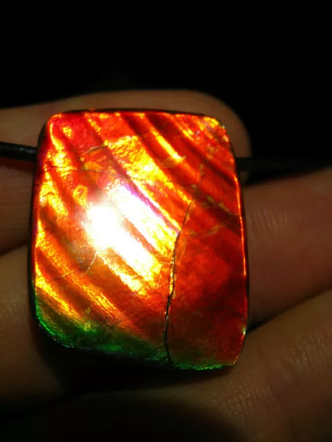 GEM Ammolite Ammolith Anhänger Traum Farben wie Opal Super Brillants