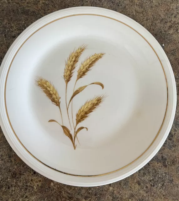 Edwin Knowles China GOLDEN WHEAT Dinner Plate 9 7/8"  Vintage EUC