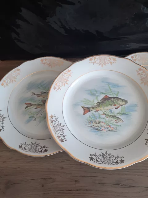 Service KG Lunéville 6 assiettes à décor poisson 23 Cm