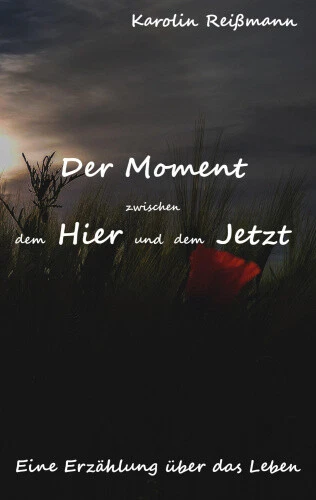 Der Moment Zwischen Dem Hier Und Dem Jetzt [German] by Reißmann, Karolin