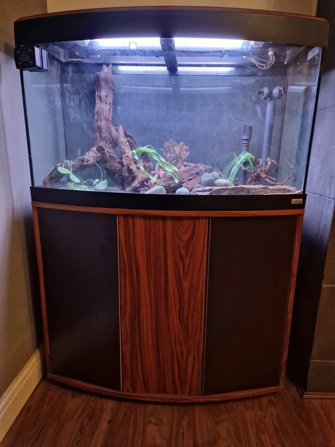 Fluval Vicenza 180 Aquarium Setup Fish Tank