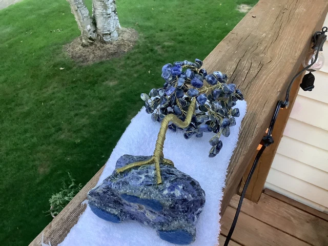 Sodalite gem tree Sodalite Stone  Flowers Feng Shui healing on Sodalite Base 2