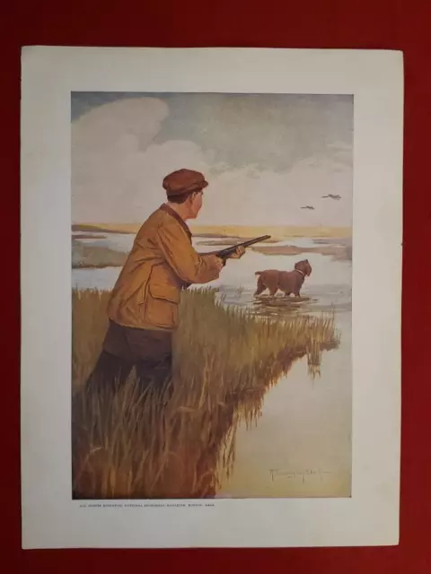 vtg print duck hunter w/ shotgun dog Hunting Fishing National Sportsman magazine