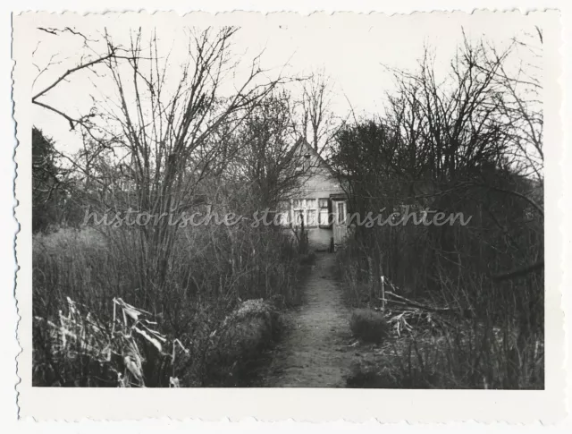 Berlin-Kaulsdorf 1956 - Sommerhäuschen Kleingarten Datsche - Altes Foto 1950er