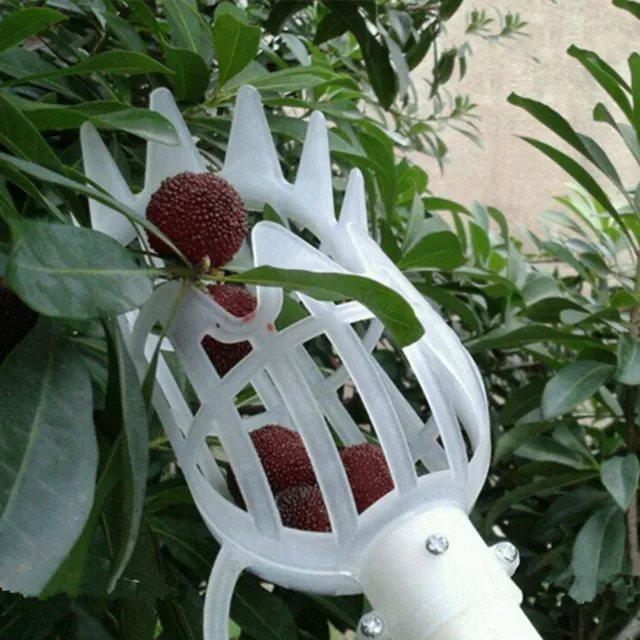 Cabeza de recolector de frutas cesta recolección cosechadora horticultura herramienta de jardinería YEL