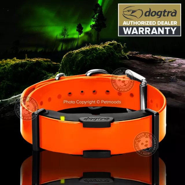 Dogtra ARC Additional Dog Collar Receiver Orange ARC-ADD-RX Extra Replacement 2