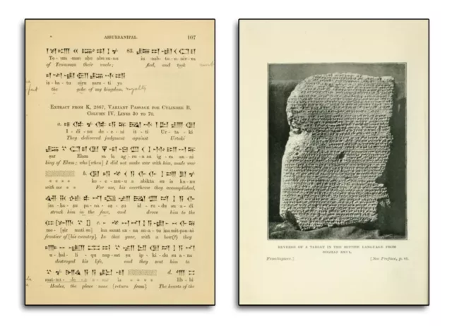 240 Rare Cuneiform Books on DVD Ancient Sumerian Babylonian Language Tablets 41 3