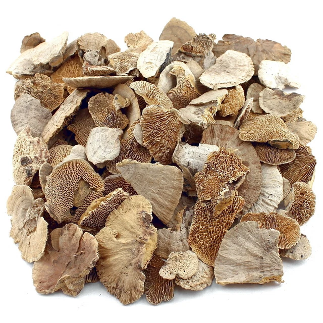 Esponja de árbol natural, bolsa 250gr 3-10 cm seca, hongos de árbol, ¡hongos decorativos!¡!¡!