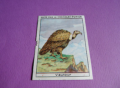 CHROMO CHOCOLAT TOBLER 1911-1914 SERIE 20 OISEAUX BIRDS N°5 AIGLE 