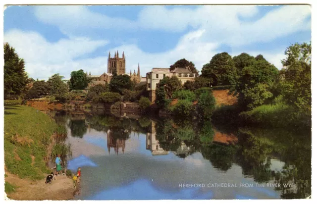 1960s Salmon Postcard Hereford Cathedral from River Wye Herefordshire Posted