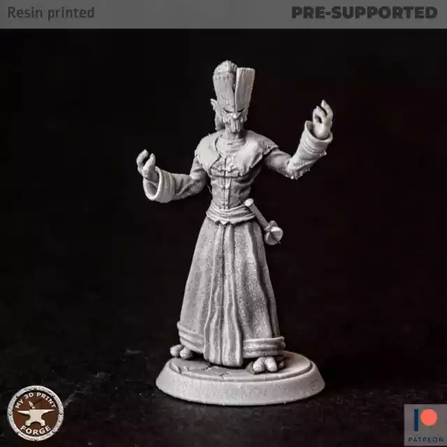 Female Troll Priest Posed HeadSwap Miniatures Tabletop Dungeons and Dragons Mini