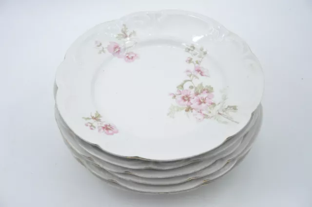 Ancien service 6 assiettes plates en porcelaine décor fleur collection art table