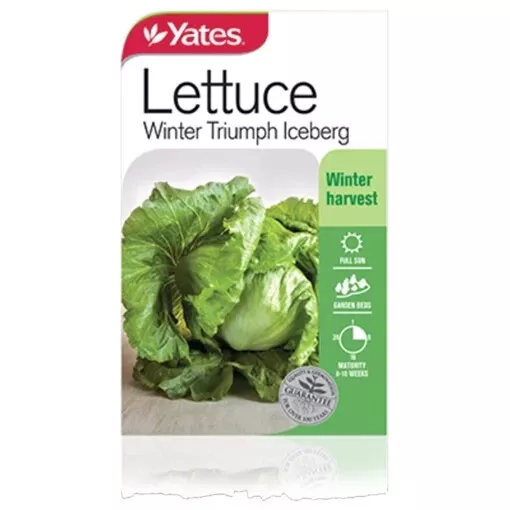 Lettuce Winter Triumph Iceberg Yates Free Postage