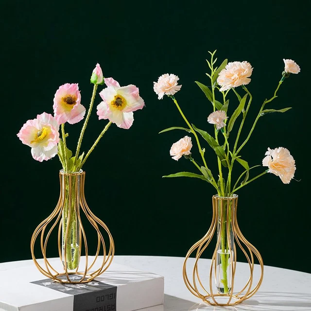 1Set Vaso Per Piante Idroponiche Provetta Fioriera In Vetro