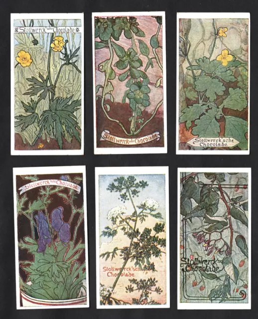 Poisonous Plants Ser 112 Stollwerck Card Set 1900 Victorian Deadly Nightshade