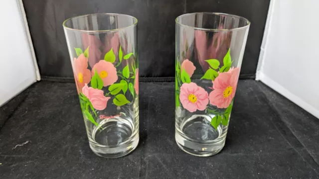 Set Of 2 FRANCISCAN DESERT ROSE 16 Oz Glass Tumblers