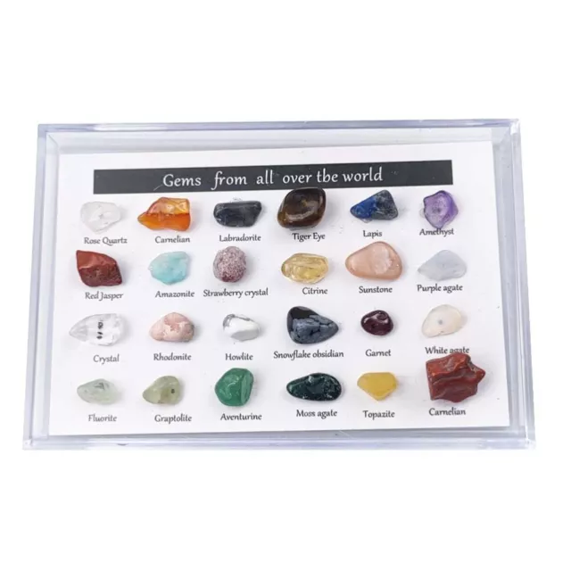 AU 24Pcs Mineral Gem Kit Educational Geology Gem Kit Gemstones Set Kids Gift 3