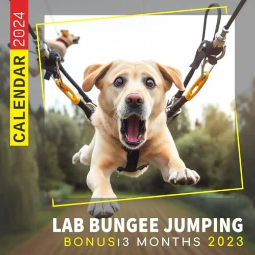 LAB BUNGEE JUMPING Calendar 2024 Jan 2024 to Dec 2024 Bonus 3 Months